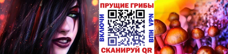 где купить   Строитель  Галлюциногенные грибы мицелий 